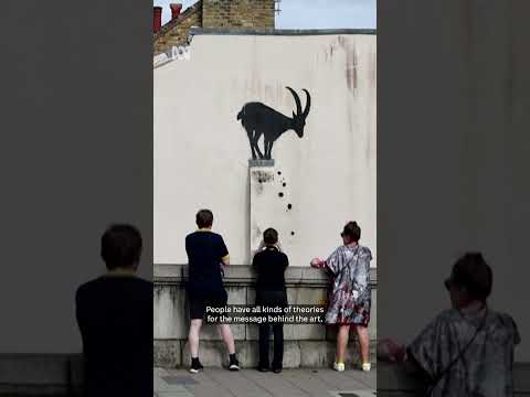 Why is Banksy painting animals around London? | ABC News