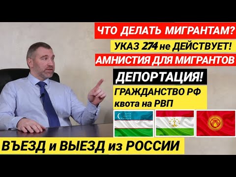 Что делать МИГРАНТАМ? Указ 274 не ДЕЙСТВУЕТ! АМНИСТИЯ для МИГРАНТОВ| Квота на РВП...