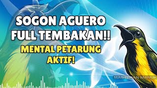 Download lagu 🔴 SOGON AGUERO FULL TEMBAKAN!! MENTAL PETARUNG AKTIF! #sogon #sogongacor  mp3