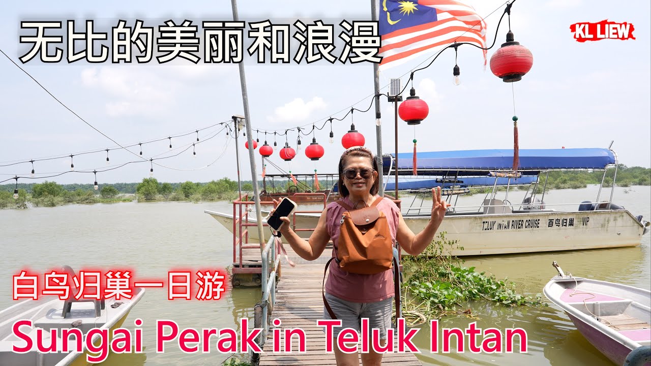 Sungai Perak in Teluk Intan 安顺霹雳河,白鸟归巢一日游,马来西亚少见的自然生态奇观,在河流上欣赏日落，无比的美丽和浪漫。