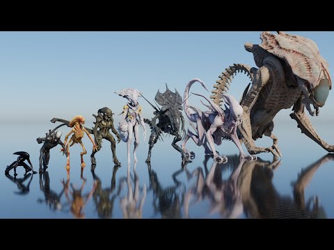 Xenomorph  Size Comparison