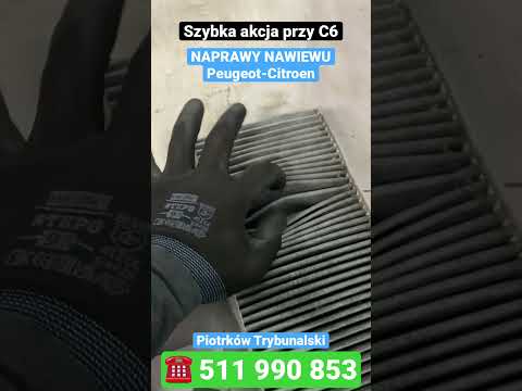 Naprawa nawiewu Citroen c6 Piotrków
