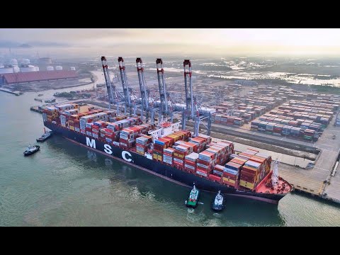 MSC Oliver berthing at CMIT port