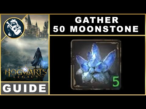 Hogwarts Legacy Gather Moonstone | Quest Guide