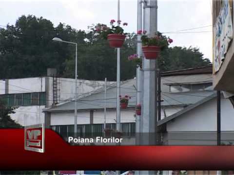 Poiana Florilor
