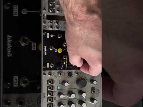 Blukač Endless Processor Eurorack Module 2022 - Present - Black image 6