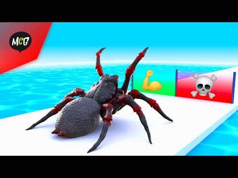 Ayo Kita Buat Laba-Laba Paling Kuat!