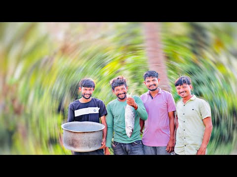 દરિયા નો પાલવો || hilsa fish || palva fish curry || fish recipe in Gujarati || Gobra gang