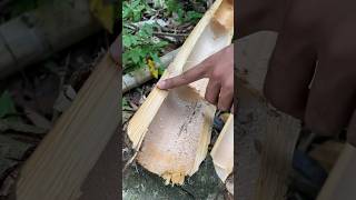 Download lagu Request dong bambu setebal ini layangan apa #shrots mp3