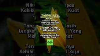 Download lagu kata motivasi, kata bijak, nesehat, nasihat agama, kata mutiara mp3