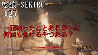 【隻狼-SEKIRO: SHADOWS DIE TWICE-】第二十五回　一回戦ったことあるボスに負けるやつおる？