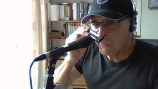 Blues Harmonica by Nose - Sonny Boy Williamson II - Bye Bye Bird