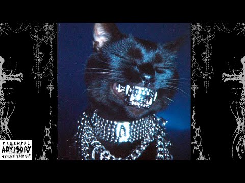 [FREE] FREDDIE DREDD  X DOOMSHOP TYPE BEAT - "RLY SLO" | PHONK