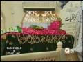 SHER MIANDAD QAWWALI KABOOTAR DATA DE