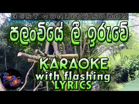 Palanchiye Lee Iruwe Karaoke with Lyrics (Without Voice)
