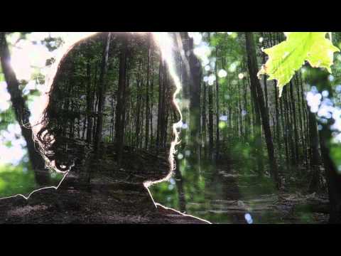Tony Dekker - Prayer of the Woods (Official Music Video)