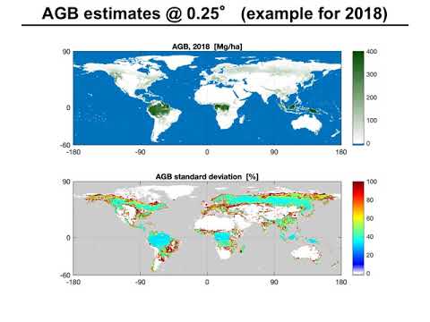 Estimation of Forest Above-Ground Biomass with C-Band scatterometer backscatter observations