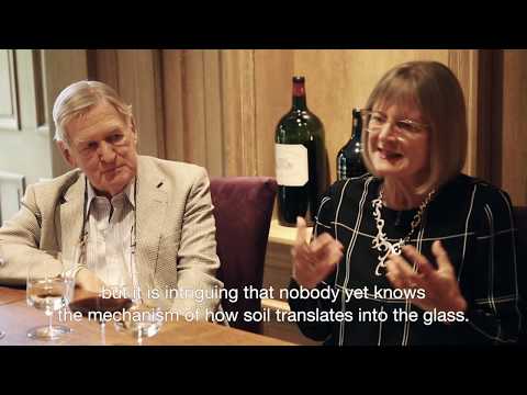 The World Atlas of Wine – 8th edition