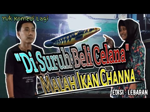 di-suruh-beli-celana-malah-ikan-channa-edisi-lebaranyukkomedilagi