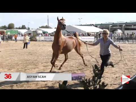 Bergamo 2015 - Class 3B