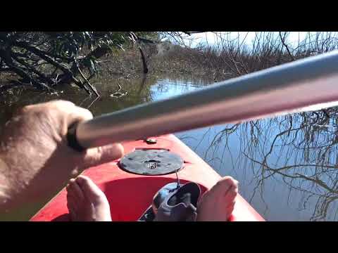 En Kayac por Arroyo Negro