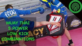 5 Pad Work Combinations Power Low Kicks