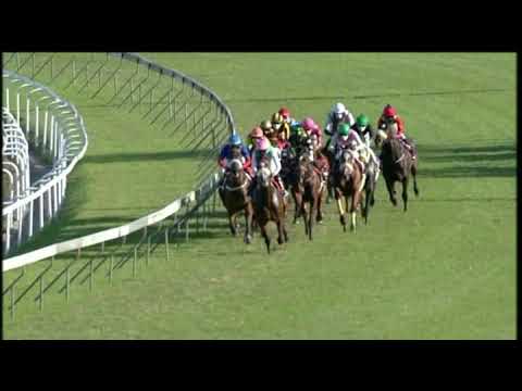 20200620 Hollywoodbets Greyville express clip Race 8 won by BELGARION