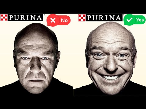 Is Purina Pet Food GOOD OR BAD?