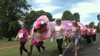 Race for Life, 2010 Camperdown Park clip 4