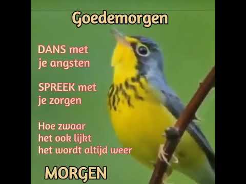 "Hoor jij de vogels nog fluiten"