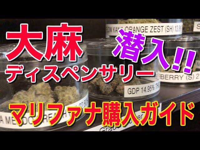 日本語の取材のビデオ発音