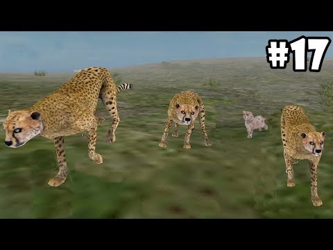 Wild Animals Online - Pack of Cheetahs - Android/iOS - Gameplay Episode 17