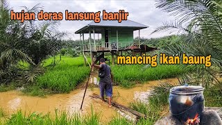 Download lagu HEAVY RAIN CAUSES IMMEDIATE FLOODING || FISHING FOR BAUNG AND COOKING IT AT THE RICE FIELD HUT mp3