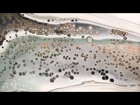 #239. Black & Whites with Arteza Pearl Metallics! /fluid art/pouring recipe