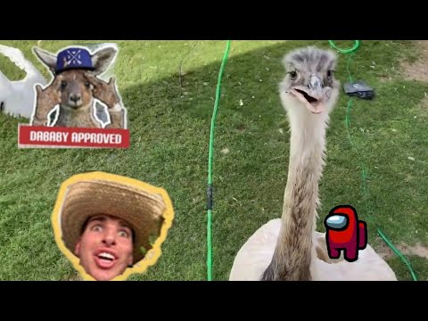 Kevin tries to attack and gets pranked (very sus) *imposter?*