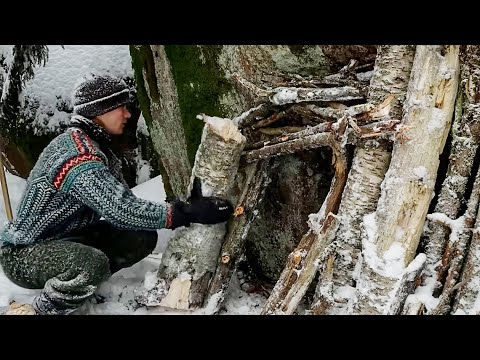 Surviving –45°C Winter   Building a Primitive Log Shelter in the Snow - Life Wild - Bushcraft