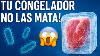 Bacterias que sobreviven en el congelador 😱 (y cómo proteger tu comida)