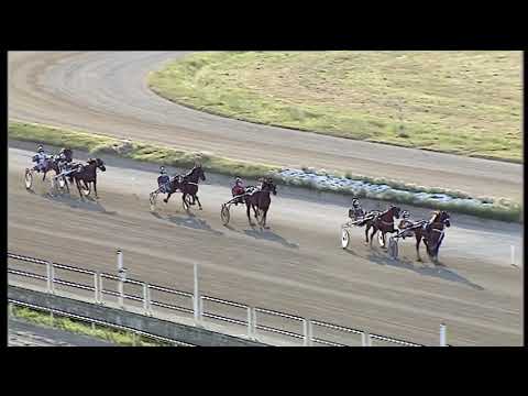 Trotto 10/07/2020 - 2ª prova di qualifica