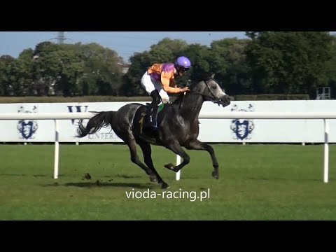 Gon. VI (N. Eldona) - 3.10.2020 - Pilargo (Ascot DD - Penta)