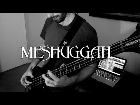 Meshuggah Combustion Bass Cover