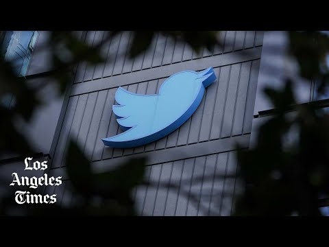 Under Musk, job cuts have already begun