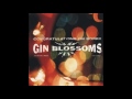 Gin Blossoms - As Long As It Matters