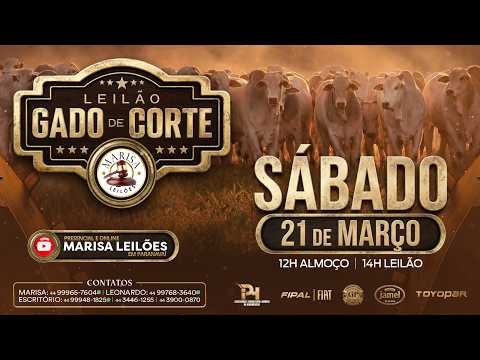 Marisa Leilões - Leilão  Ao Vivo  - 21 de MARÇO 2026  -  Paranavaí-PR