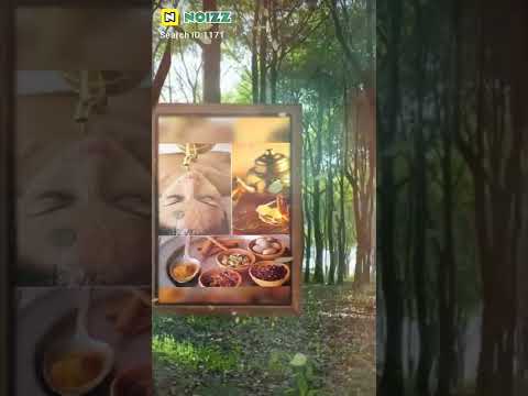 10am To 6pm Bams Bums Bhms Dental, Courses BDS MDS Direct Admission, 10 Am To 6 Pm, Medical Colleges