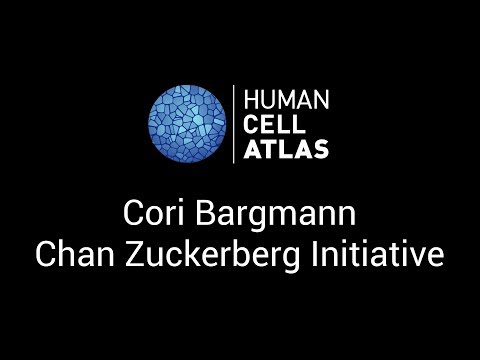 Cori Bargmann at the Human Cell Atlas Computational Methods meeting - Stockholm, 1-2 June 2017