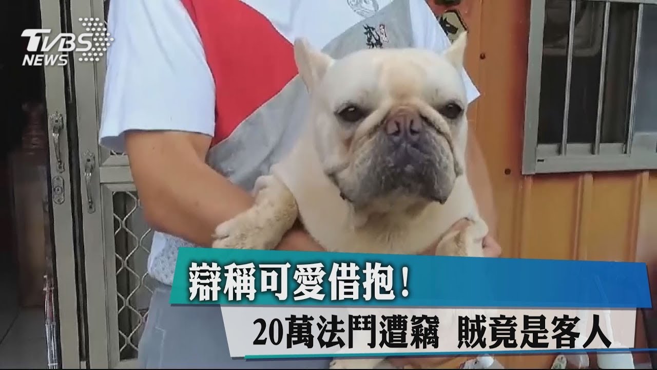 辯稱可愛借抱!20萬法鬥遭竊 賊竟是客人