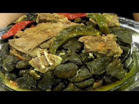 بالفيديو كبيبة حائل