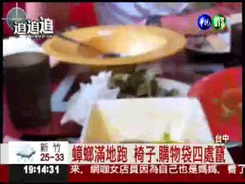 女子餐廳吃麵 盤底竟爬出蟑螂