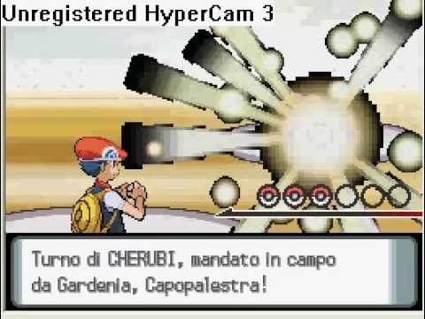 Gardenia capopalestra....Sconfitta