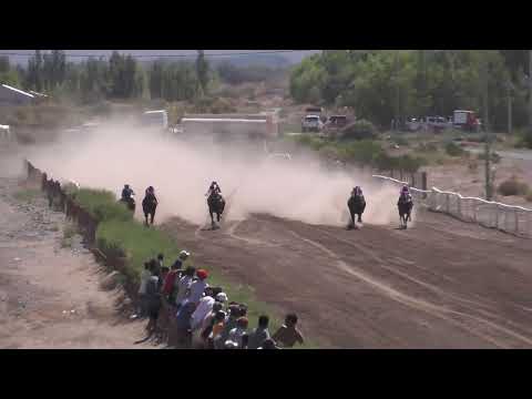 AHINOA Club Hipico Añelo, Domingo 12 de enero 2025